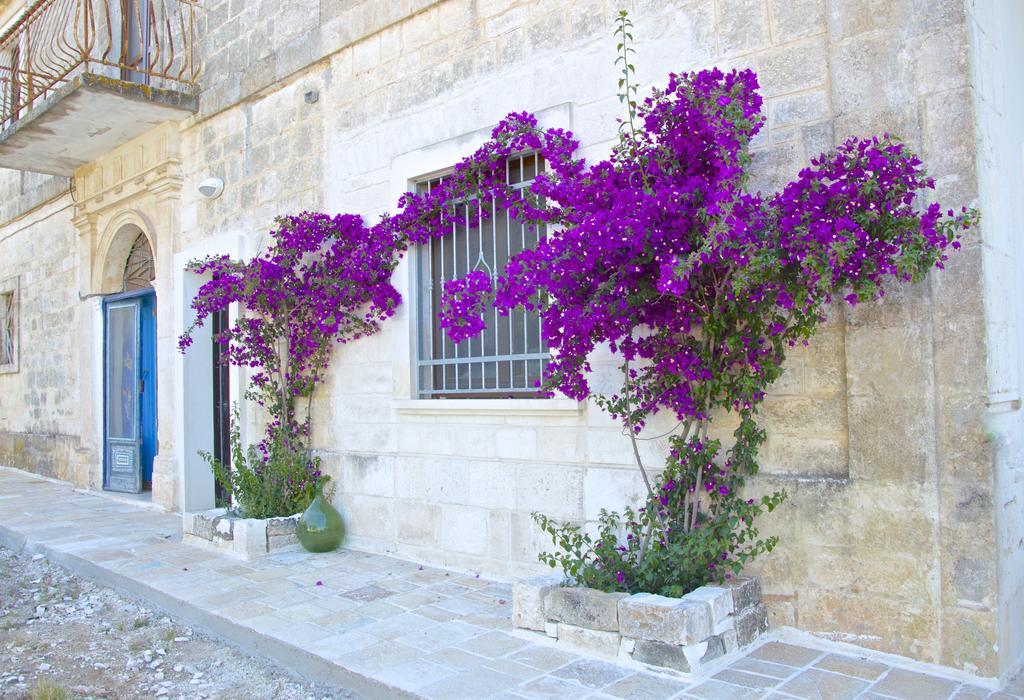 فيلا Casa Del Sud أوستوني المظهر الخارجي الصورة